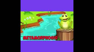 Amphibian Song short version [upl. by Kaplan972]