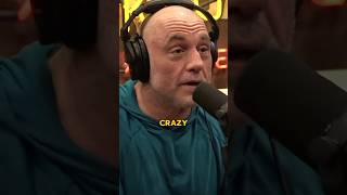 Joe Rogan Reveals BIZZARE Trump Insight on Theo Von [upl. by Ahsikyw]