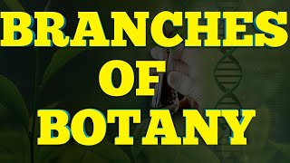 Branches of Botany With brief detail Branches of Biology  NCERT 11 Biology [upl. by Bunnie]