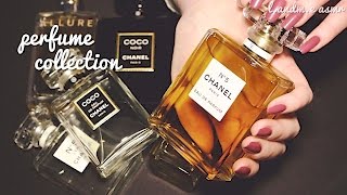 ASMR 💆  Perfume Collection LOTS of tapping on glass  35MINS  no talking 🤐 [upl. by Oneida]