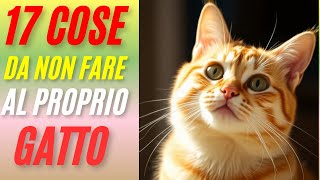 17 cose da non fare mai al tuo gatto [upl. by Itnahsa]