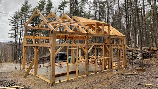 We Built a Timber Frame Home From Our Own Trees [upl. by Latsyrhk]