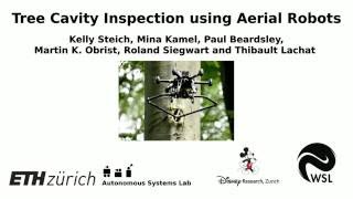 Tree Cavity Inspection Using Multirotor System [upl. by Allimak]