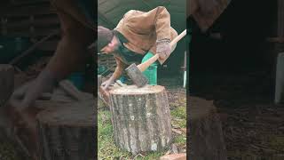 Filling up the wood stack for 2025 with some red oak firewood axe wood workout [upl. by Danaher]