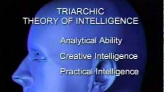 intelligence triarchic theory of intelligence [upl. by Nyliret]