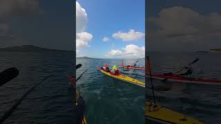 Quick paddle to Rangitoto [upl. by Nido]