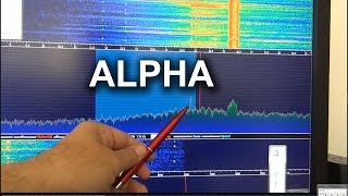 SDRplay receiving ALPHA on VLF with Mini Whip active antenna [upl. by Eanar287]