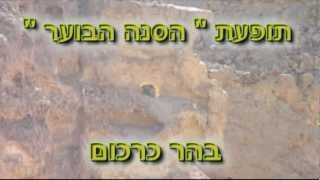 תופעת הסנה הבוער [upl. by Oramlub]