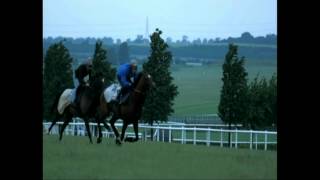 Frankel in slow motion 2012 [upl. by Freed611]