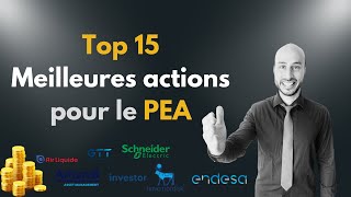 Top 15 de meilleures actions pour le PEA [upl. by Carmena839]