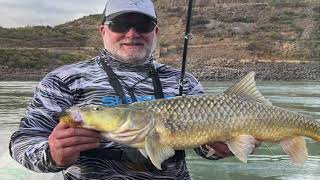 Largemouth Yellowfish Orange River light tackle fishing Large Mouth Yellowfish [upl. by Dorice426]