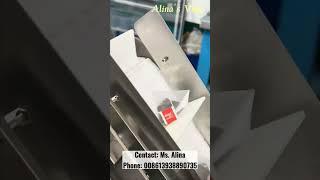 Tea bag packing machine  Envelop packing machine work with pyramid tea bag packing machine in 2024 [upl. by Francene]