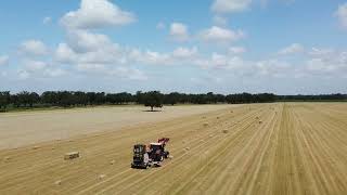 202406 2nd Cutting Central Field [upl. by Harifaz]