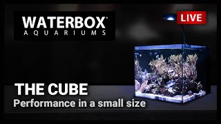 Episode 153 The Waterbox CUBE is sleek simple and configurable to your liking [upl. by Ahsirpac]