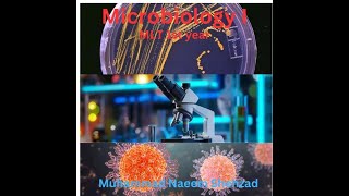 Oxidase test in Microbiology Lab Microbiology i MLT 1st year by Muhammad Naeem Shehzad [upl. by Rye]