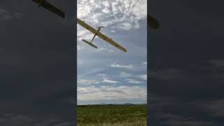 Flying formation and low pass phoenix 2400 fpvglider rc fpv aviation glider flying airplane [upl. by Lempres]