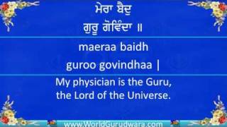 MERA BAID GURU GOVINDA  Read along with Bhai Harjinder Singh SriNagar Wale  Shabad Kirtan [upl. by Nodab217]