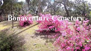 Savannah Walking through Bonaventure Cemetery [upl. by Metah604]