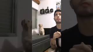 Sneaky dog funnyshorts memes funny goofyahh music [upl. by Faletti]