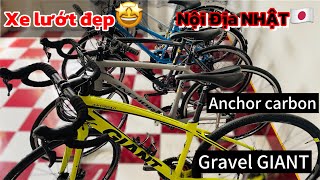 Thanh Tỷ  GIANT anyroadroad Anchor carboncity bikemini Nội Địa Nhật🇯🇵 [upl. by Newob843]