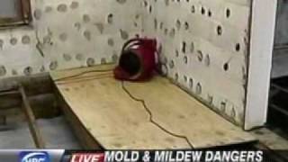 Fighting Mold amp Mildew Damage in North Nashville TN Area  Fox 17 News [upl. by Steffi]