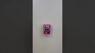 Honeywell BG12 and system sensor P2RL fire alarms [upl. by Llamaj]