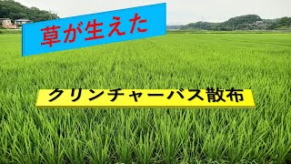 田んぼに草が生えた クリンチャーバスME散布 [upl. by Lalita]