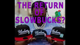 The Rise and Fall of SlowBucks Can It Make a Comeback in 2025 [upl. by Coffey]