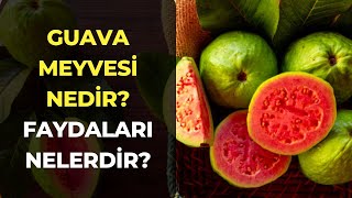 Guava Meyvesi Nedir Guava Meyvesinin Faydaları Nelerdir [upl. by Kcireddor]