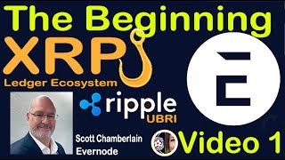 40k XRP Holders Ready to Receive Airdrop from Ripple Funded Research EVERNODE NOW on HOOKS Xahau [upl. by Neelyaj]