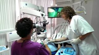 Endodoncia con microscopio dental [upl. by Chill841]