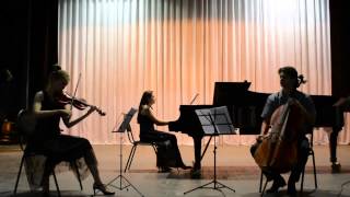 WAMozart  KV 442  Piano Trio in D minor Allegro [upl. by Airemat]