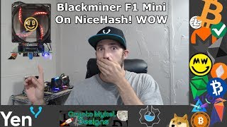 F1 Mini Update  BlackMiner F1 Mini On NiceHash Profitable [upl. by Abibah]