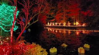 벤두센 빛 축제 VanDusen Festival of Lights 벤두센 식물원 VanDusen Botanical Garden Vancouver 캐나다 231126 [upl. by Ahtimat]