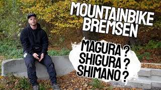 Mountainbike Bremsen  Magura vs Shigura vs Shimano  Bremsscheiben amp Bremsbeläge  Bike and Ride [upl. by Yrian]