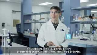 Ask TaqMan ® Ep 2 RealTime PCR Assay 디자인을 위한 팁 [upl. by Ateuqal62]