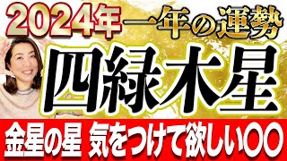 《2024年一年間の運勢》”四緑木星”金星の星〇〇運良し‼️ただ1年間気をつけなければならないコトがあります。 [upl. by Elesig576]