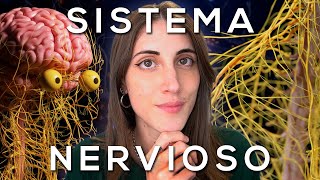 El SISTEMA NERVIOSO explicado FÁCIL [upl. by Eppie]