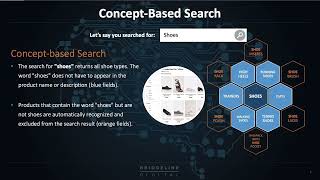 Celebros Search Overview [upl. by Lancey]