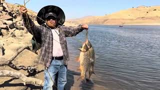 Carp fishing at Lake Kaweah 1032024 [upl. by Sacci]