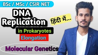 DNA Replication in Prokaryotes  Elongation  BSc MSc CSIR NET [upl. by Teuton]