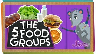 The 5 Fabulous Food Groups [upl. by Lombardo]