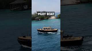 Pilot boat Nassau susieandreginaadventures bonusqueens shorts allureofthesea pilotboat nassau [upl. by Monia]