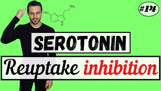 The Lowdown on SSRIs History Side Effects and Genetics [upl. by Ot676]