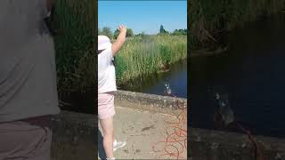 MAGNET FISHING UK 🧲 teaching my daughter how to magnet fish 💓 magnet magnetfishing history [upl. by Willi]