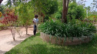 Urban Farming In Soroti City Uganda🇺🇬loyceakwii1492 [upl. by Iramaj]