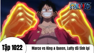 One Piece Tập 1022  Marco vs King amp Queen Luffy đã tỉnh lại  Đảo Hải Tặc Tóm Tắt [upl. by Ennaylil928]