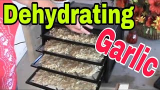 Dehydrating Garlic is easy to do [upl. by Ardnoid]