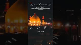 Karbala is such a mystery… 😢💔youtubeshorts shiastutus islamicfigure islamicstatus [upl. by Devland]