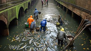 Authorities Drained This 2000 Year Old Canal What They Found At The Bottom Shocked The Whole World [upl. by Dominique]